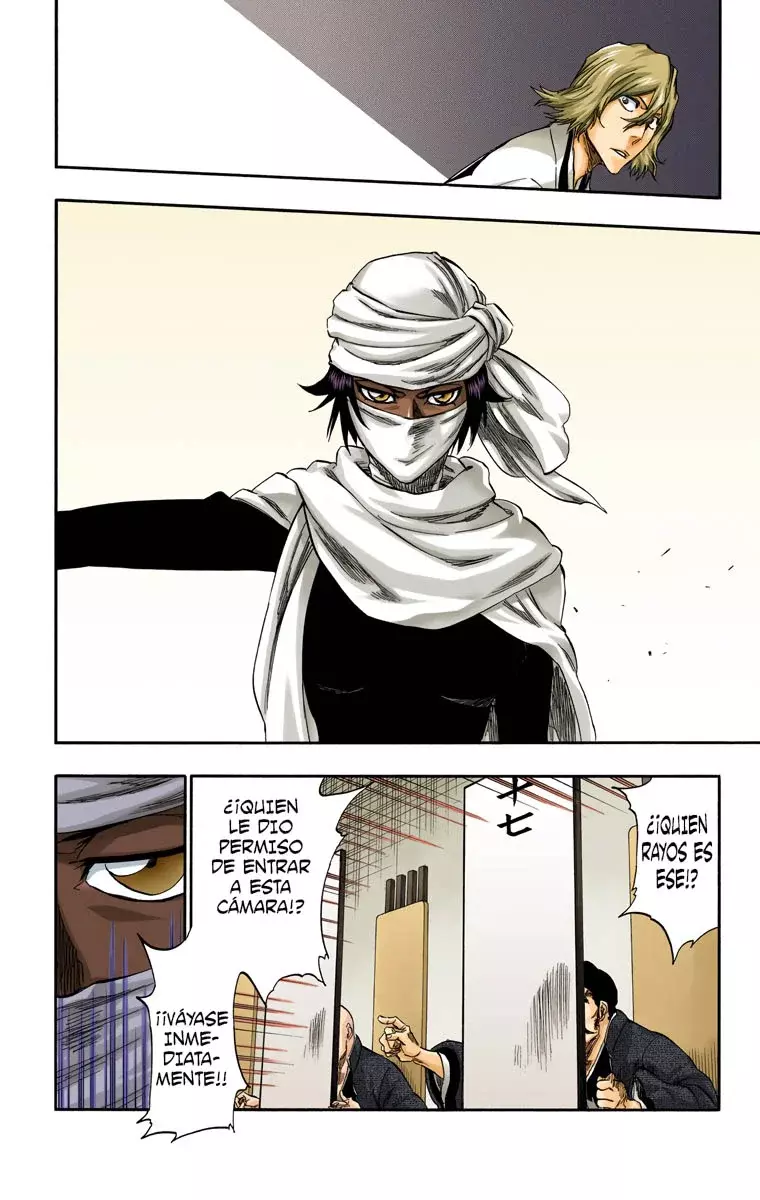 Bleach (Color) capítulo 315.97, página 13