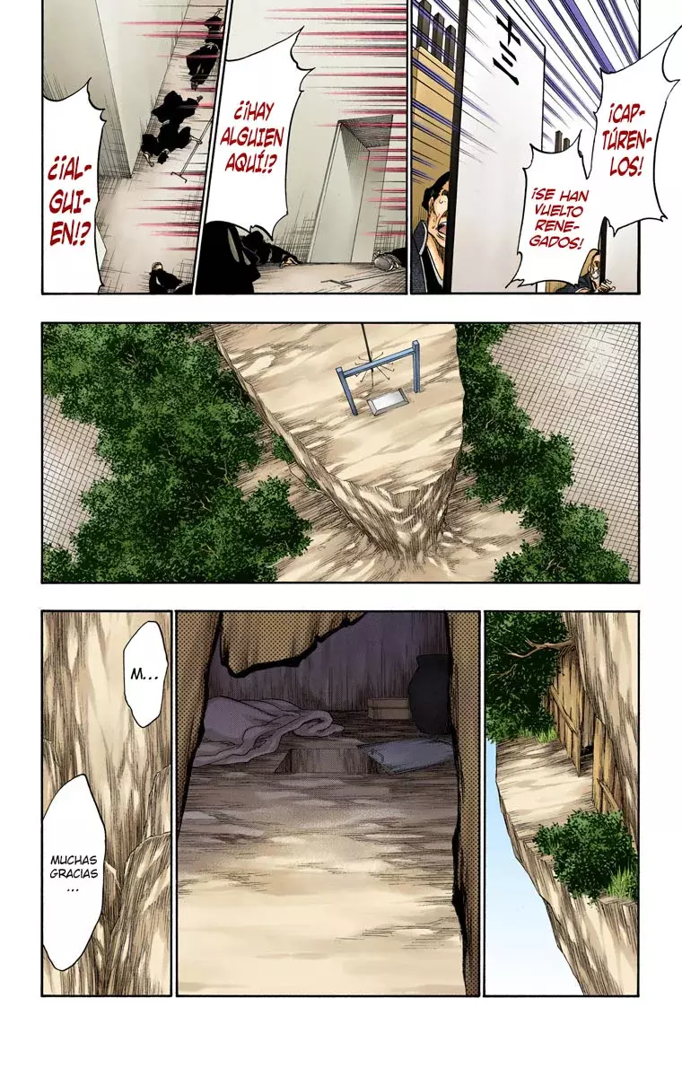 Bleach (Color) capítulo 315.97, página 15