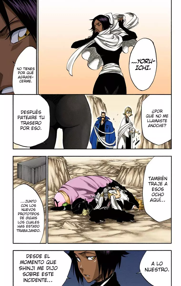 Bleach (Color) capítulo 315.97, página 16