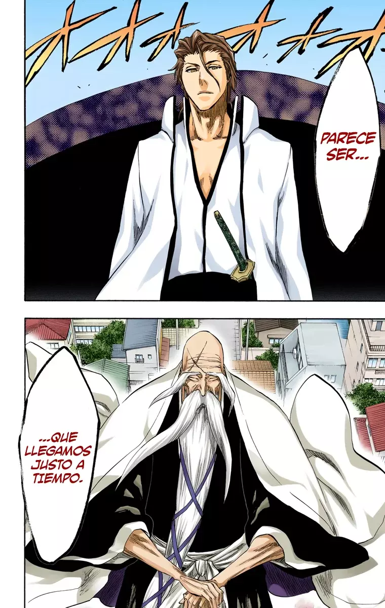Bleach (Color) capítulo 315, página 8