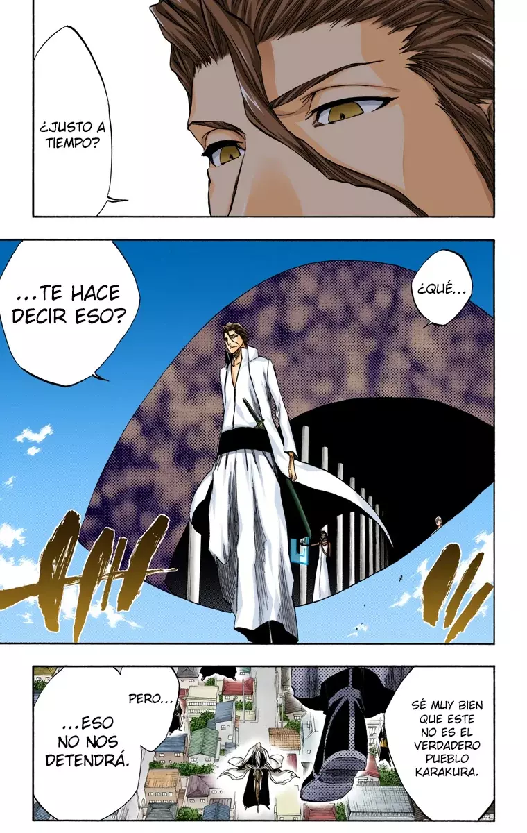Bleach (Color) capítulo 315, página 9