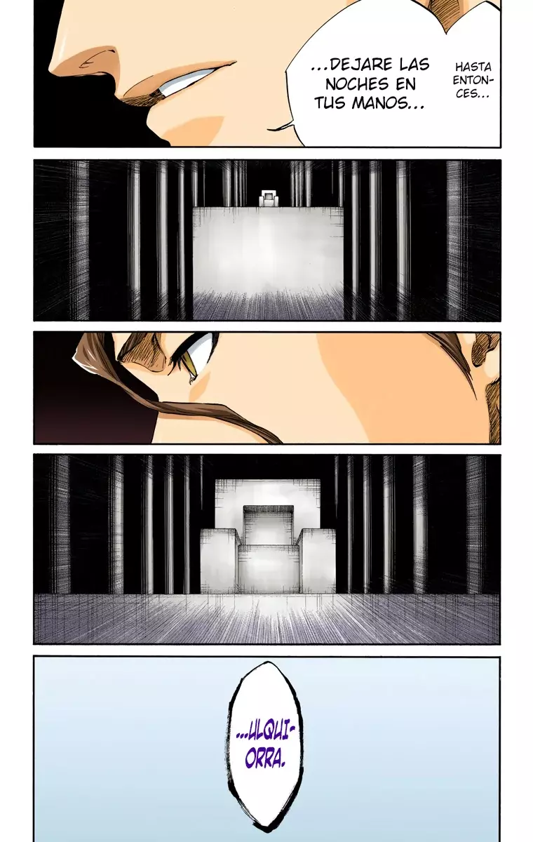 Bleach (Color) capítulo 315, página 13