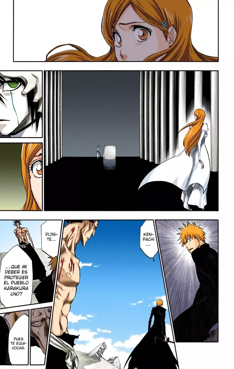 Bleach (Color) capítulo 315, página 15