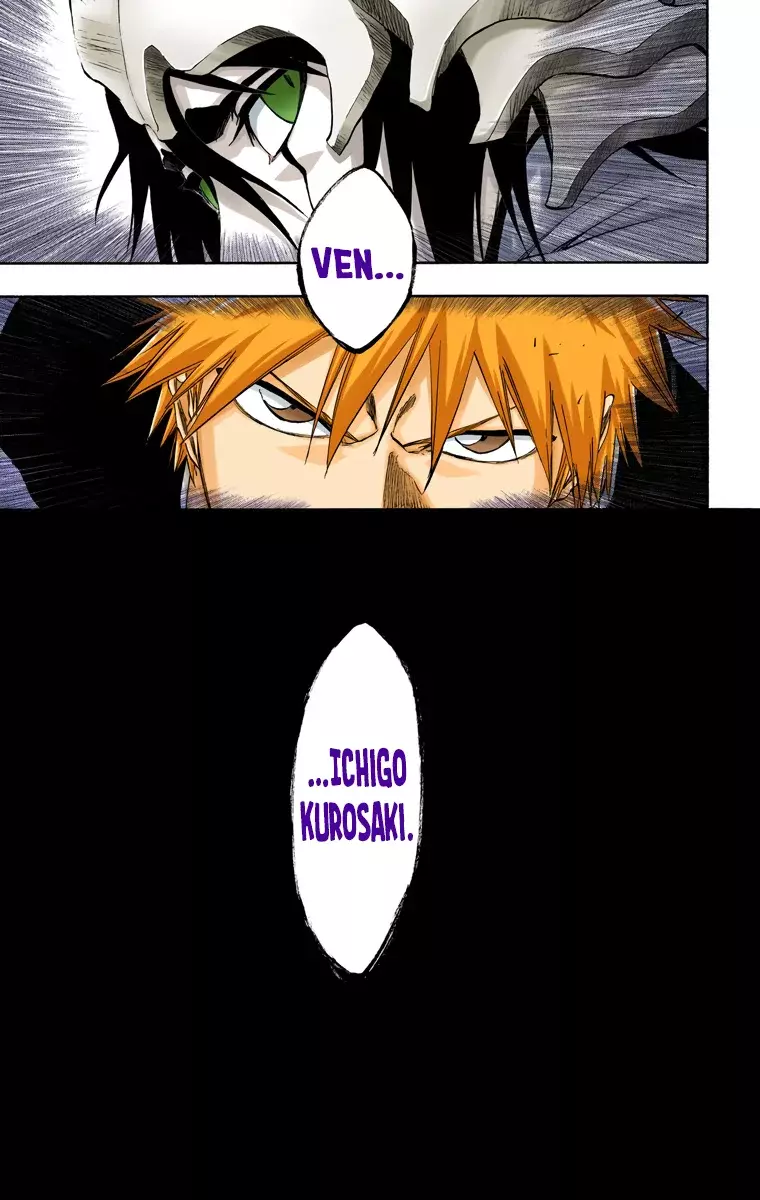 Bleach (Color) capítulo 315, página 17