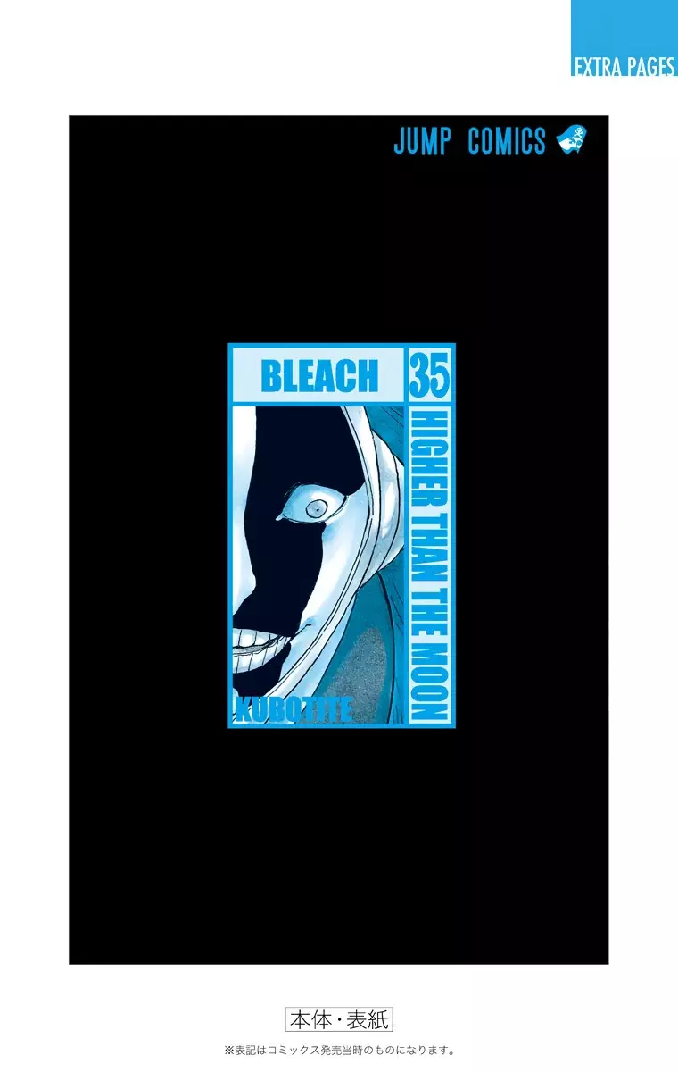 Bleach (Color) capítulo 315, página 22