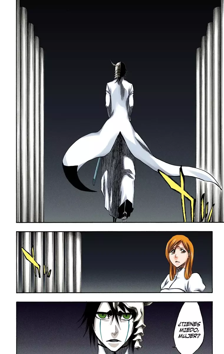 Bleach (Color) capítulo 316, página 15