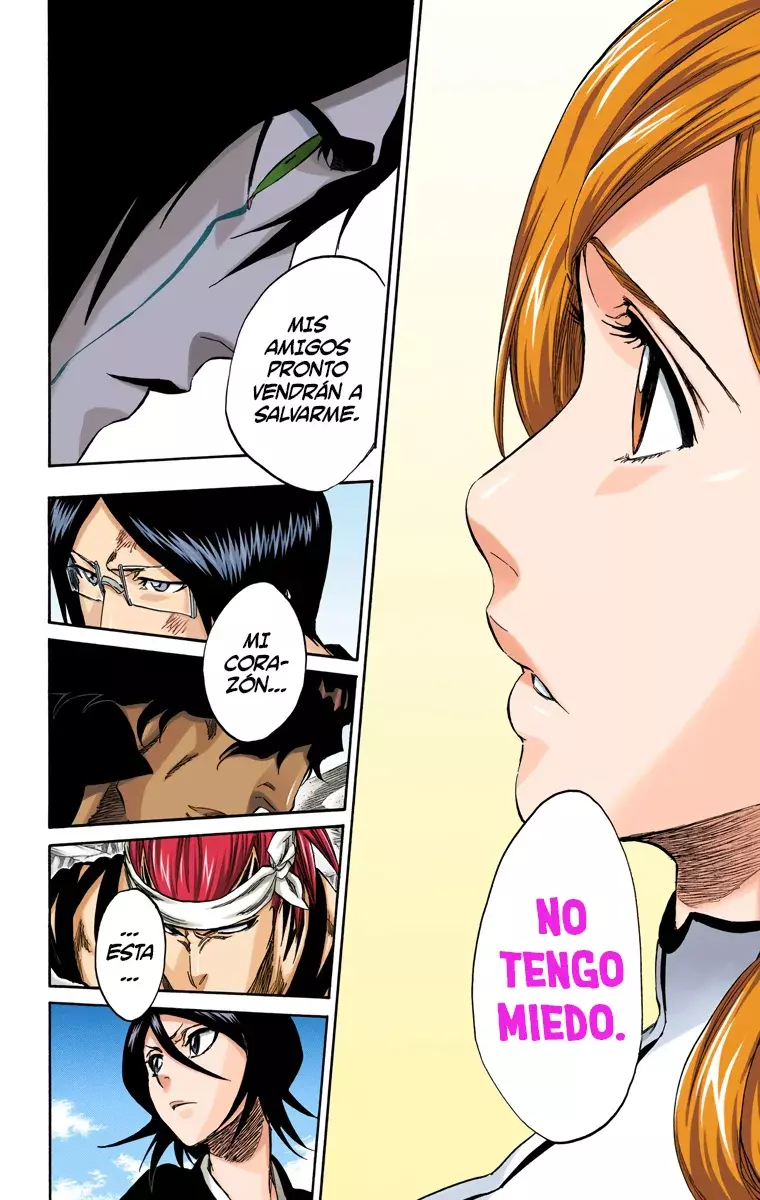 Bleach (Color) capítulo 316, página 17