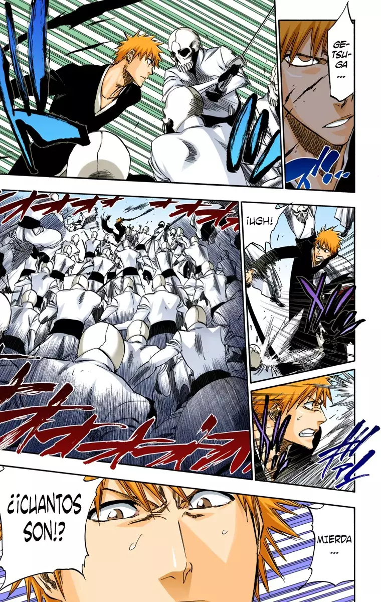 Bleach (Color) capítulo 317, página 13