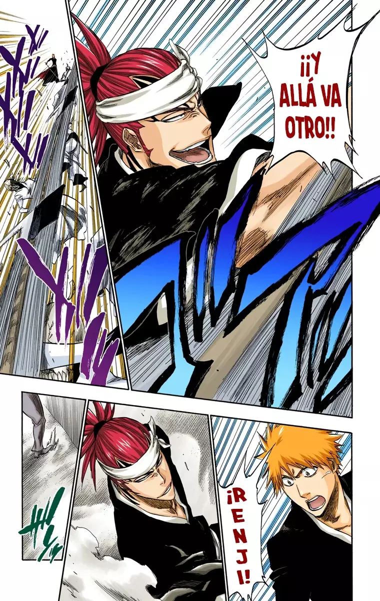 Bleach (Color) capítulo 317, página 15