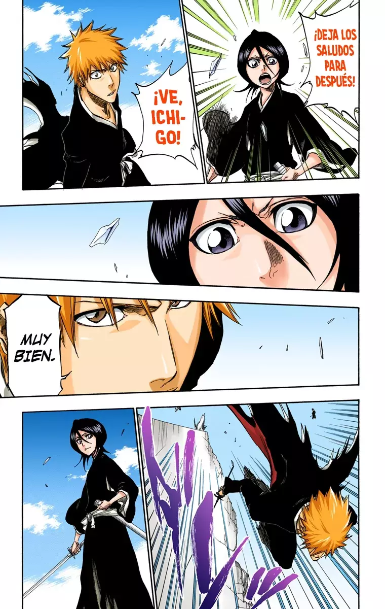 Bleach (Color) capítulo 317, página 19