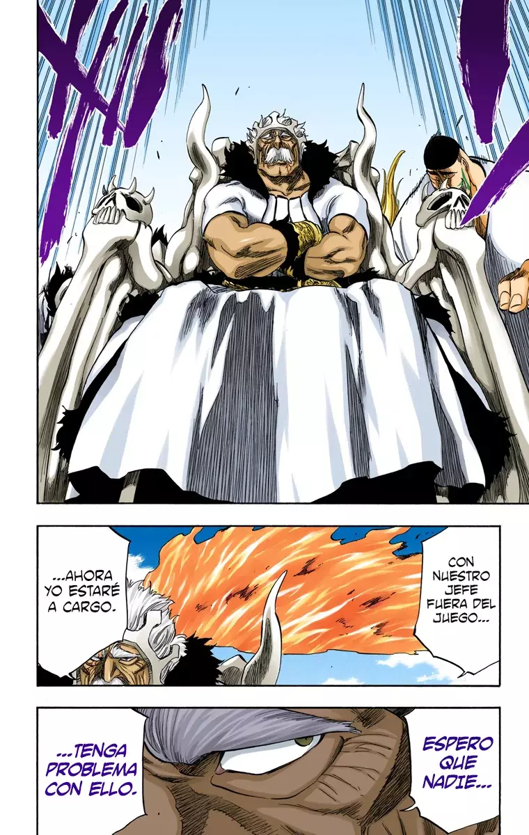 Bleach (Color) capítulo 318, página 12