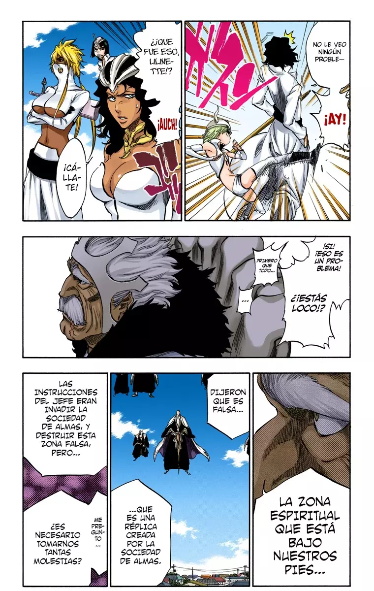 Bleach (Color) capítulo 318, página 13