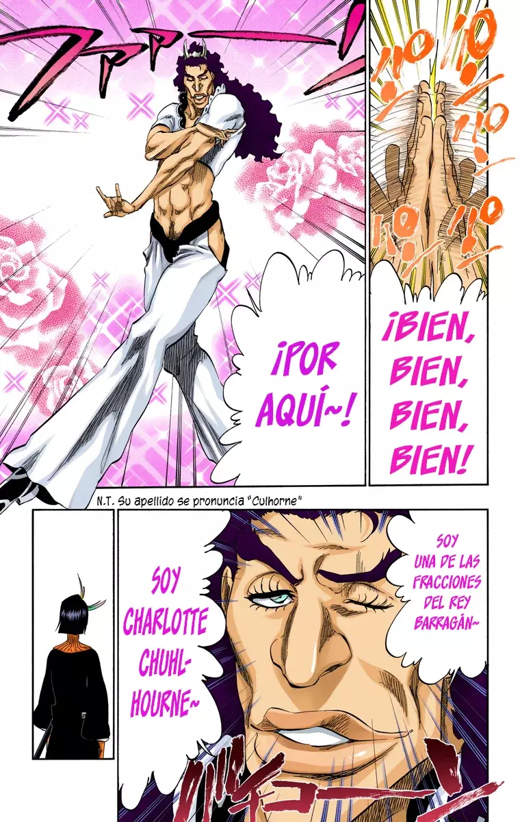 Bleach (Color) capítulo 319, página 13