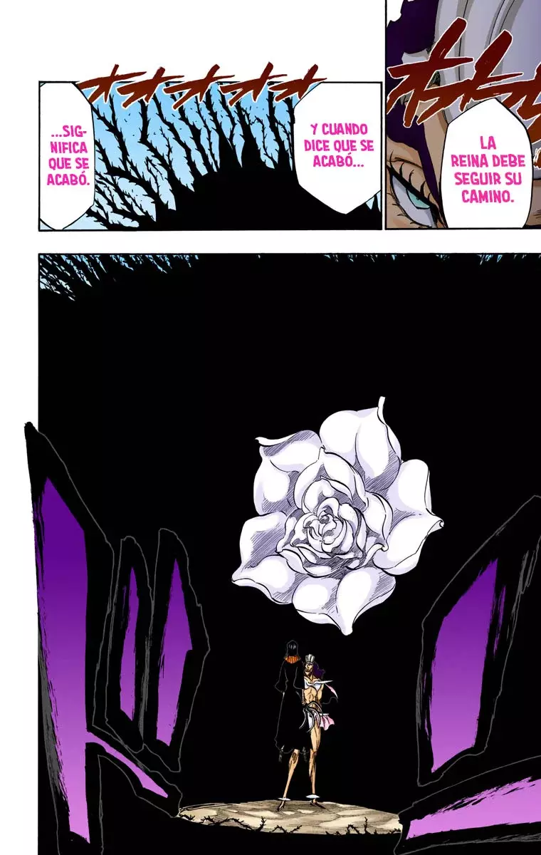 Bleach (Color) capítulo 321, página 13