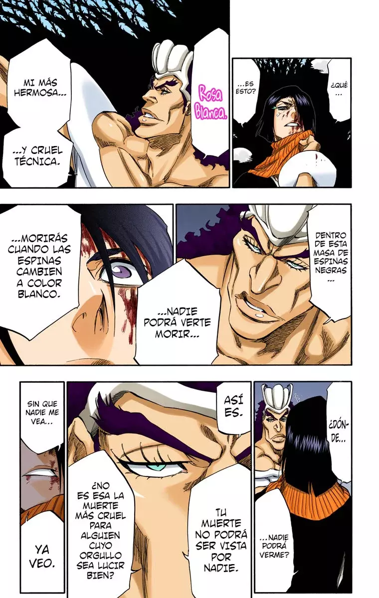 Bleach (Color) capítulo 321, página 14