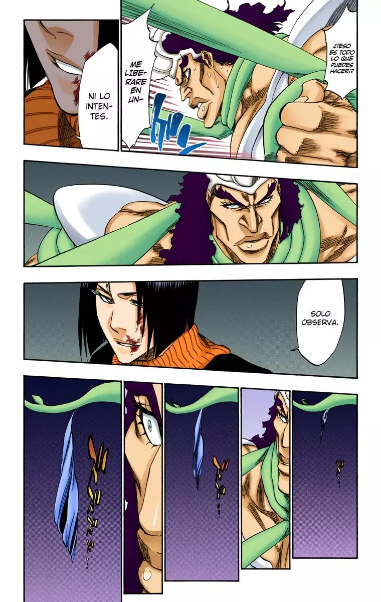 Bleach (Color) capítulo 321, página 18