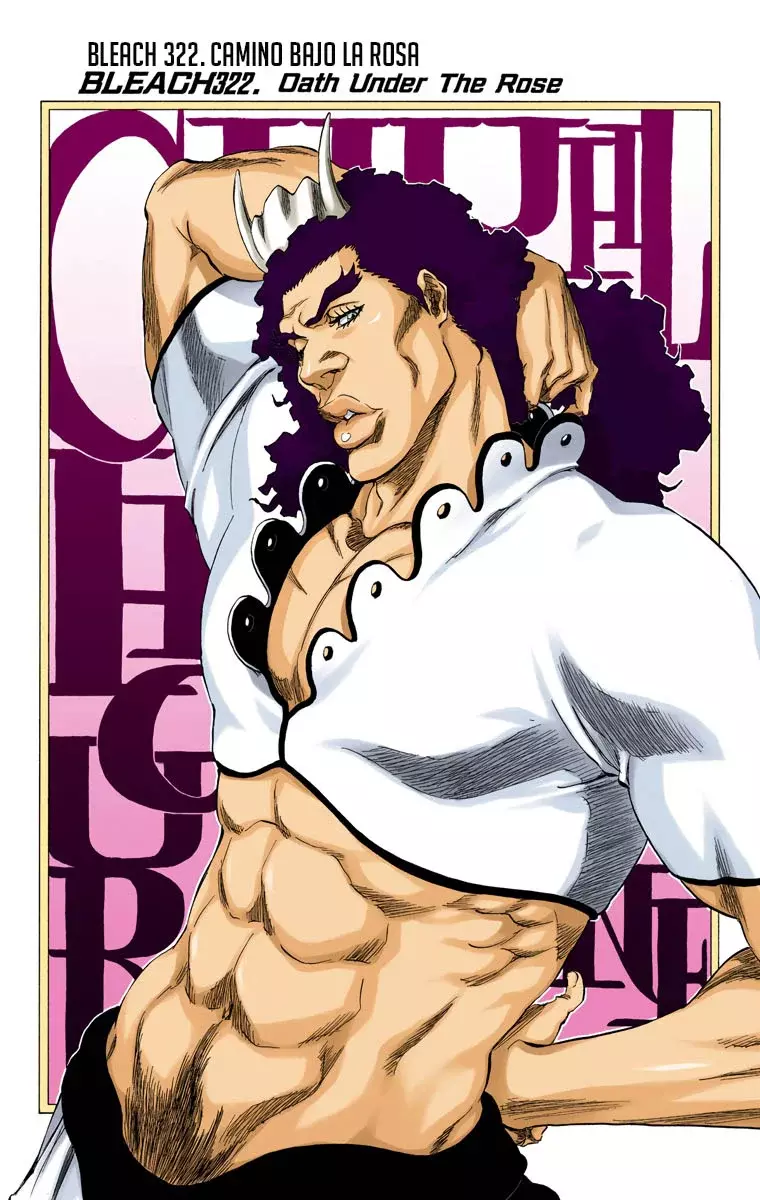 Bleach (Color) capítulo 322, página 9