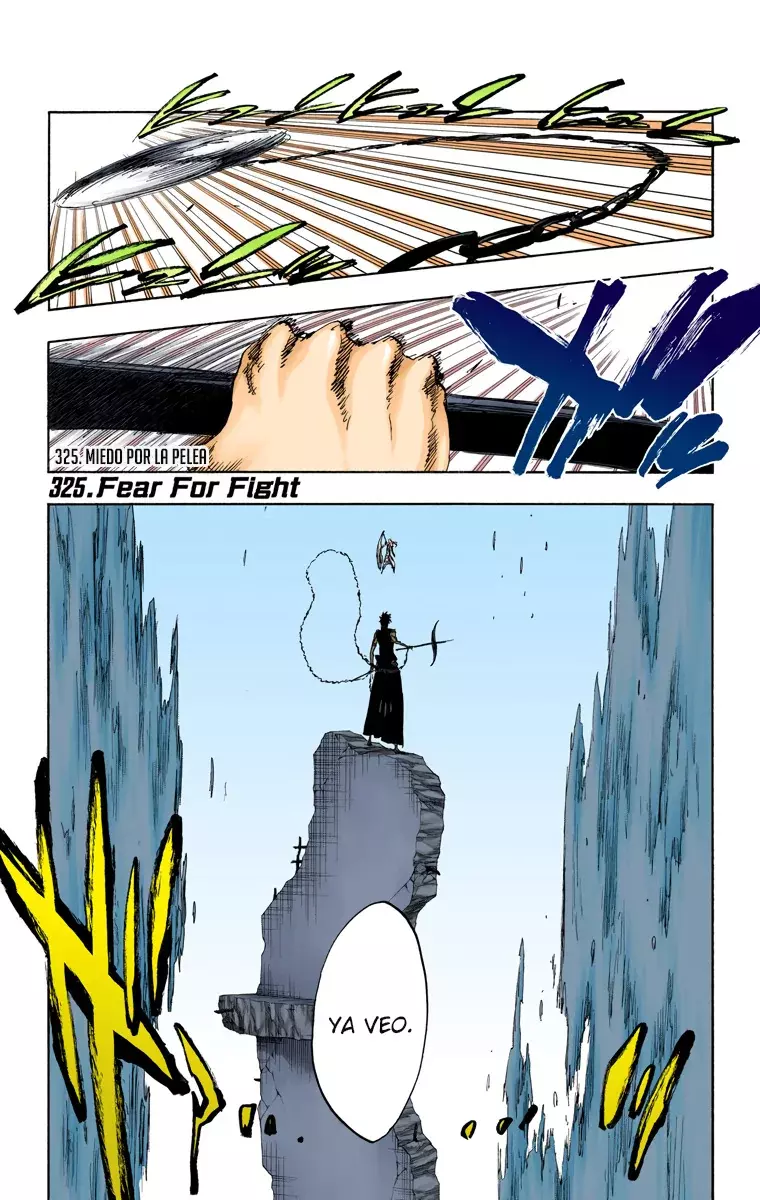 Bleach (Color) capítulo 325, página 2