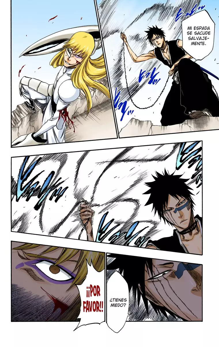 Bleach (Color) capítulo 325, página 13