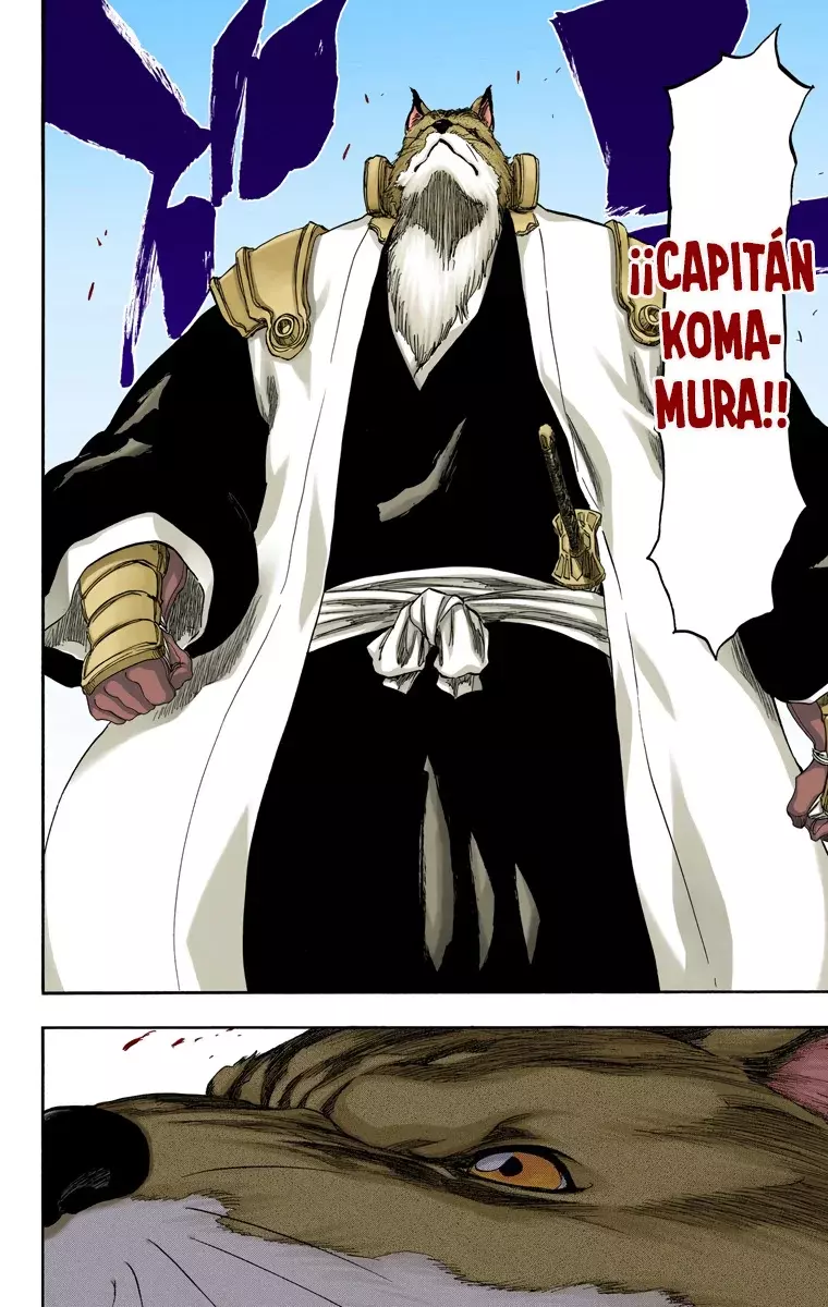 Bleach (Color) capítulo 326, página 13