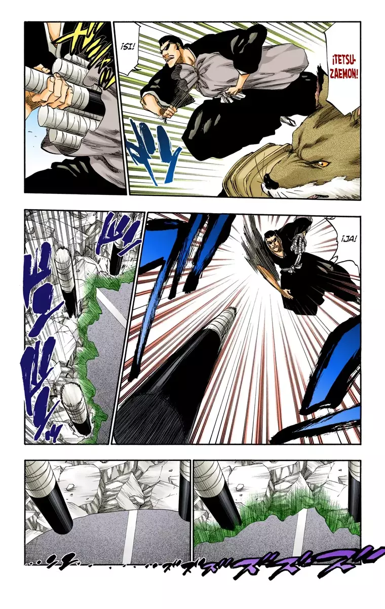 Bleach (Color) capítulo 326, página 14