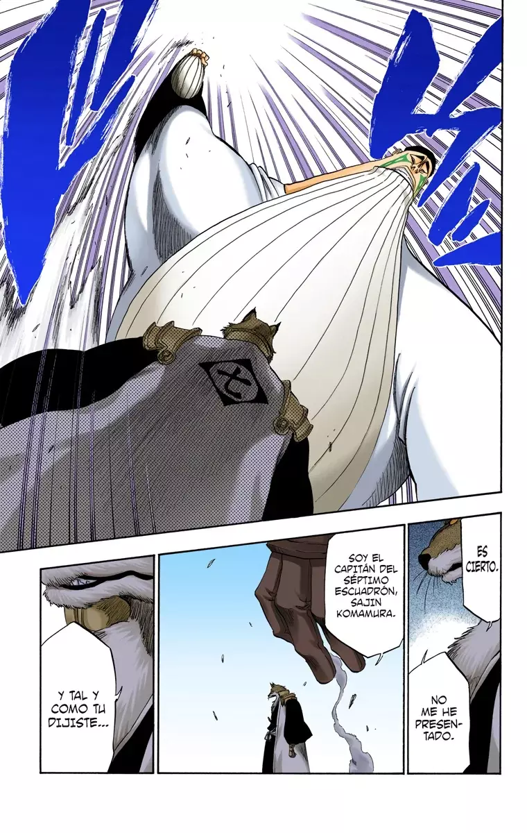 Bleach (Color) capítulo 327, página 16