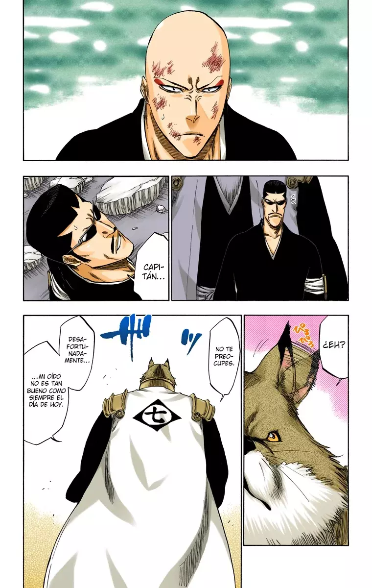 Bleach (Color) capítulo 328, página 16