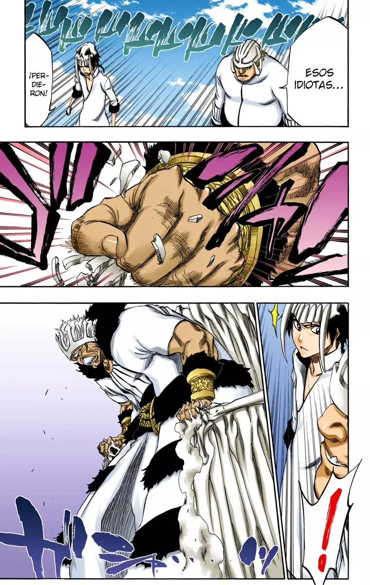 Bleach (Color) capítulo 328, página 17