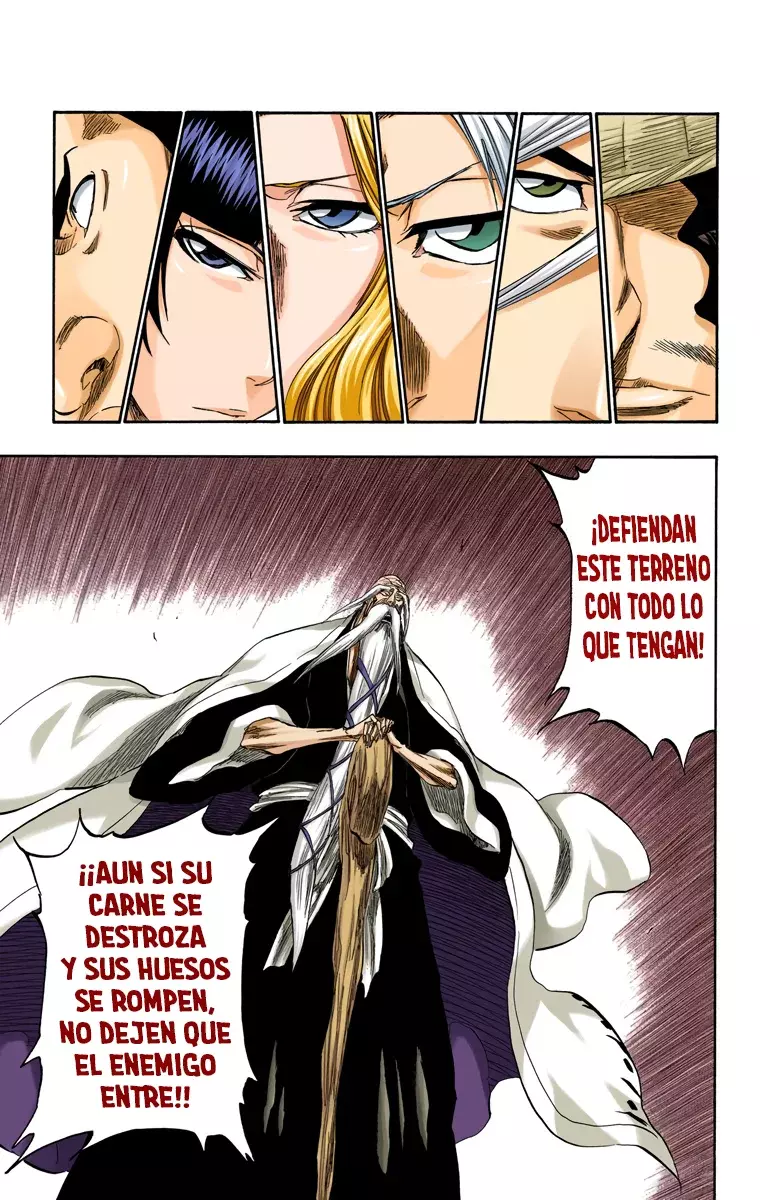 Bleach (Color) capítulo 329, página 4