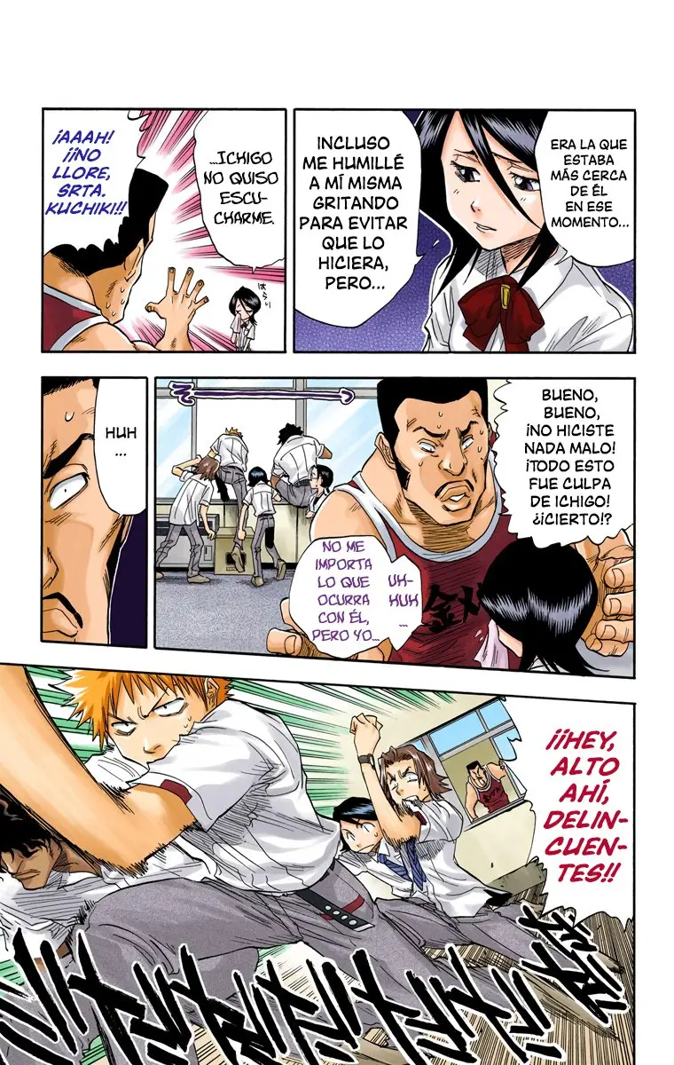 Bleach (Color) capítulo 33, página 8
