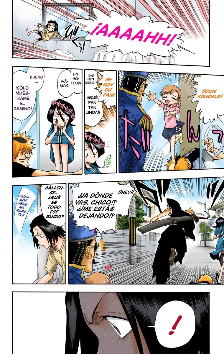 Bleach (Color) capítulo 33, página 17