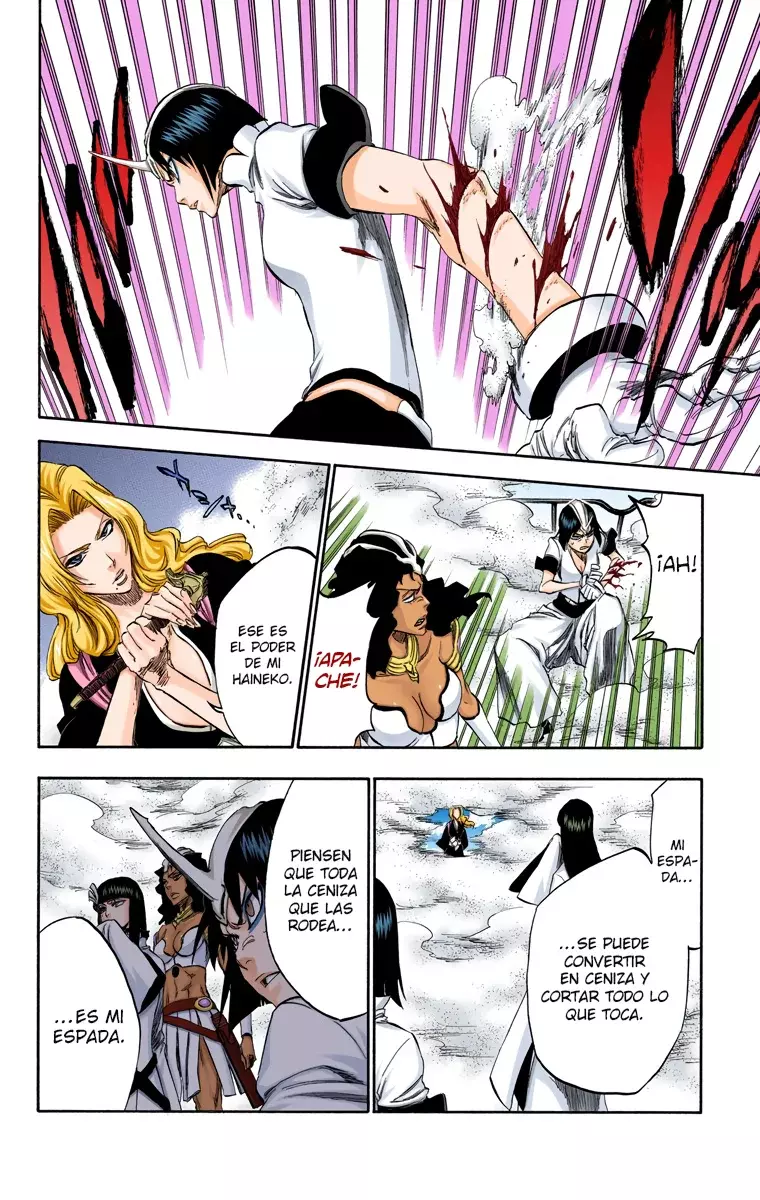 Bleach (Color) capítulo 330, página 11