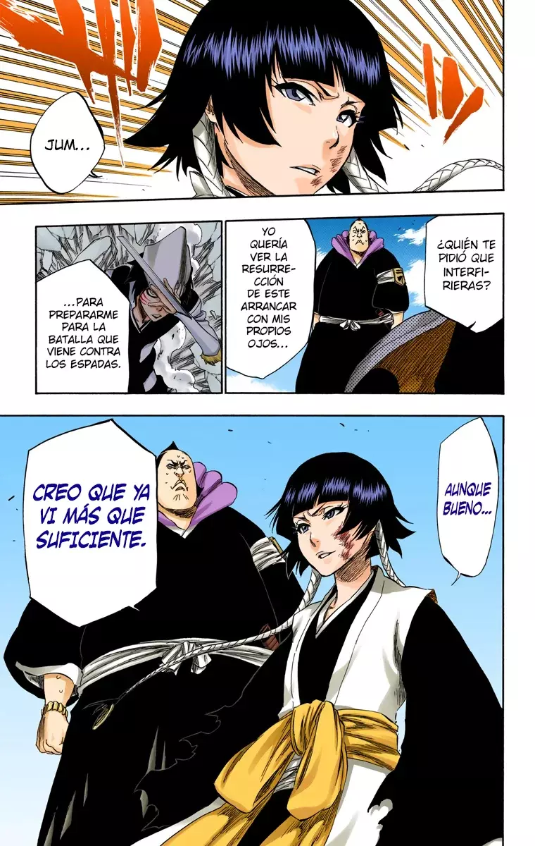 Bleach (Color) capítulo 332, página 24