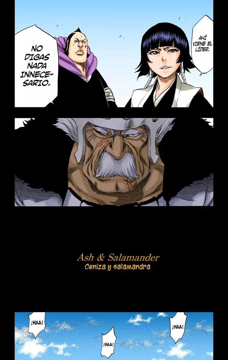 Bleach (Color) capítulo 333, página 14