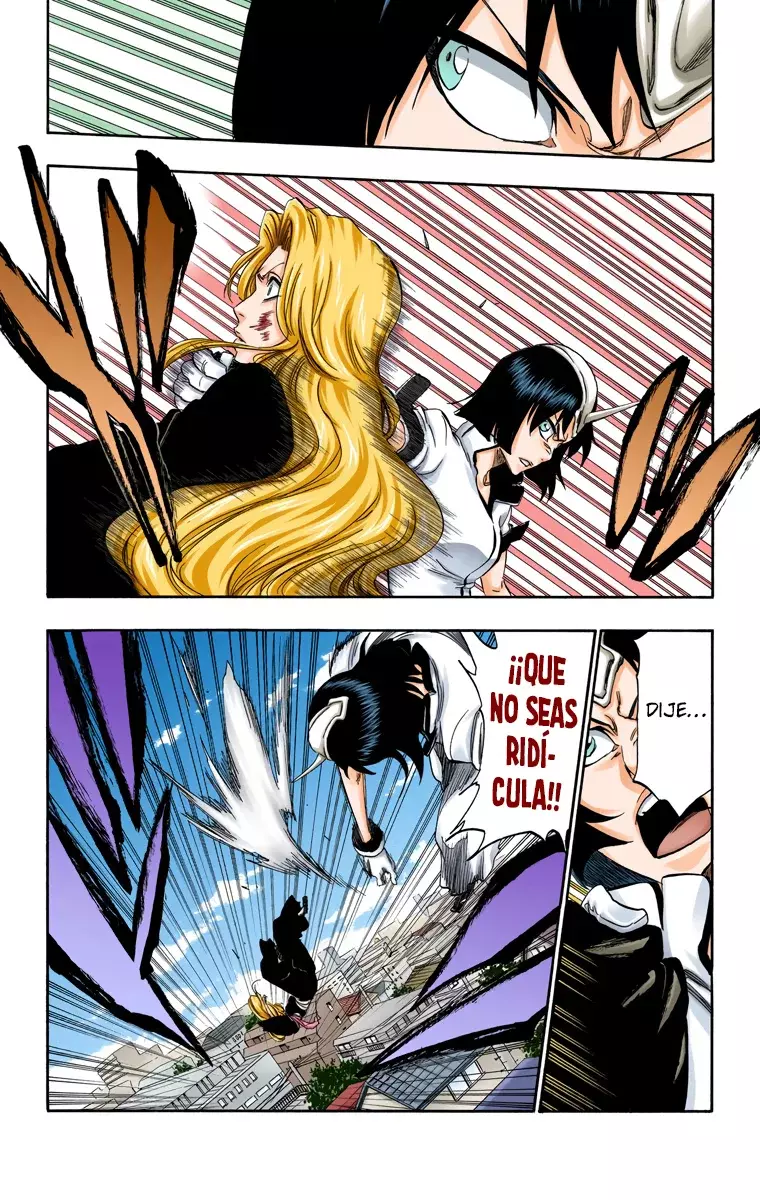Bleach (Color) capítulo 333, página 17