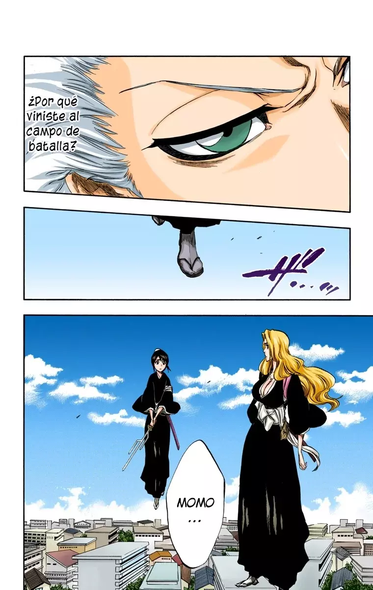 Bleach (Color) capítulo 334, página 9