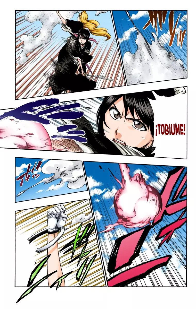 Bleach (Color) capítulo 334, página 14