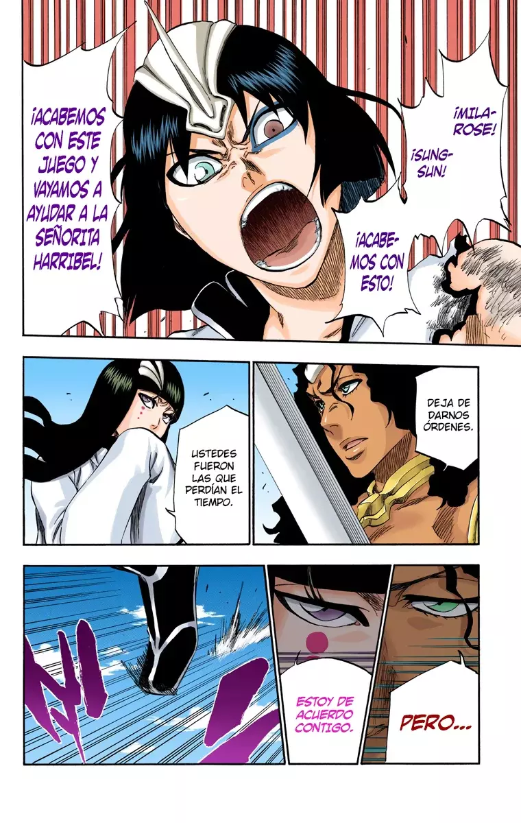 Bleach (Color) capítulo 334, página 17