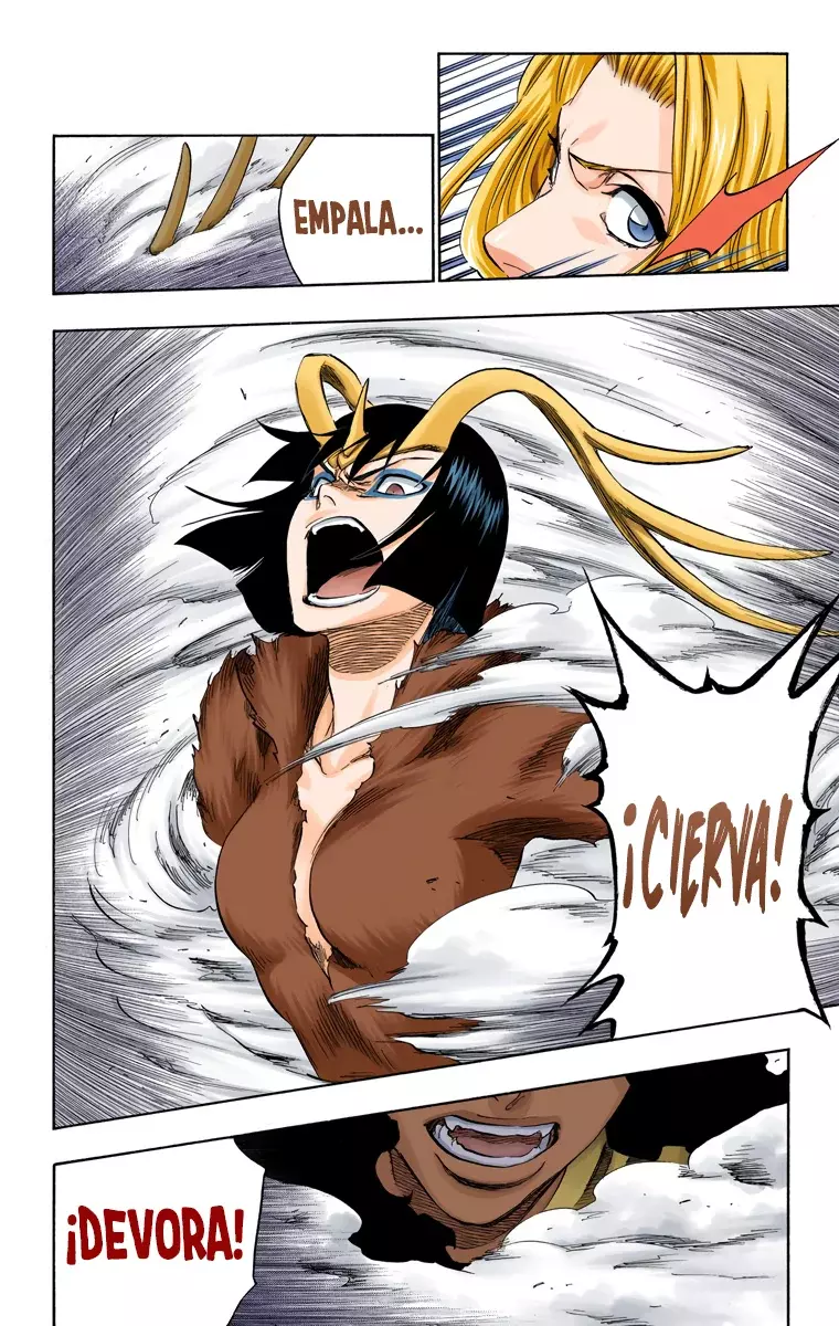 Bleach (Color) capítulo 335, página 18