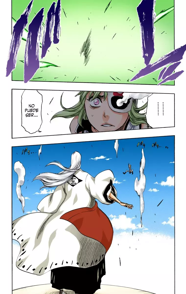 Bleach (Color) capítulo 336, página 13