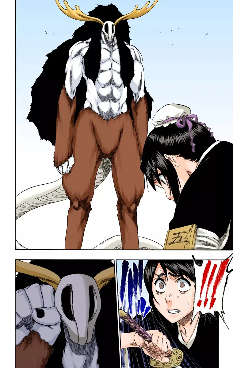 Bleach (Color) capítulo 336, página 17
