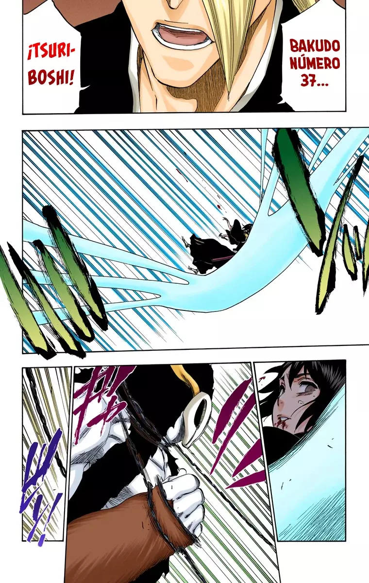 Bleach (Color) capítulo 336, página 19