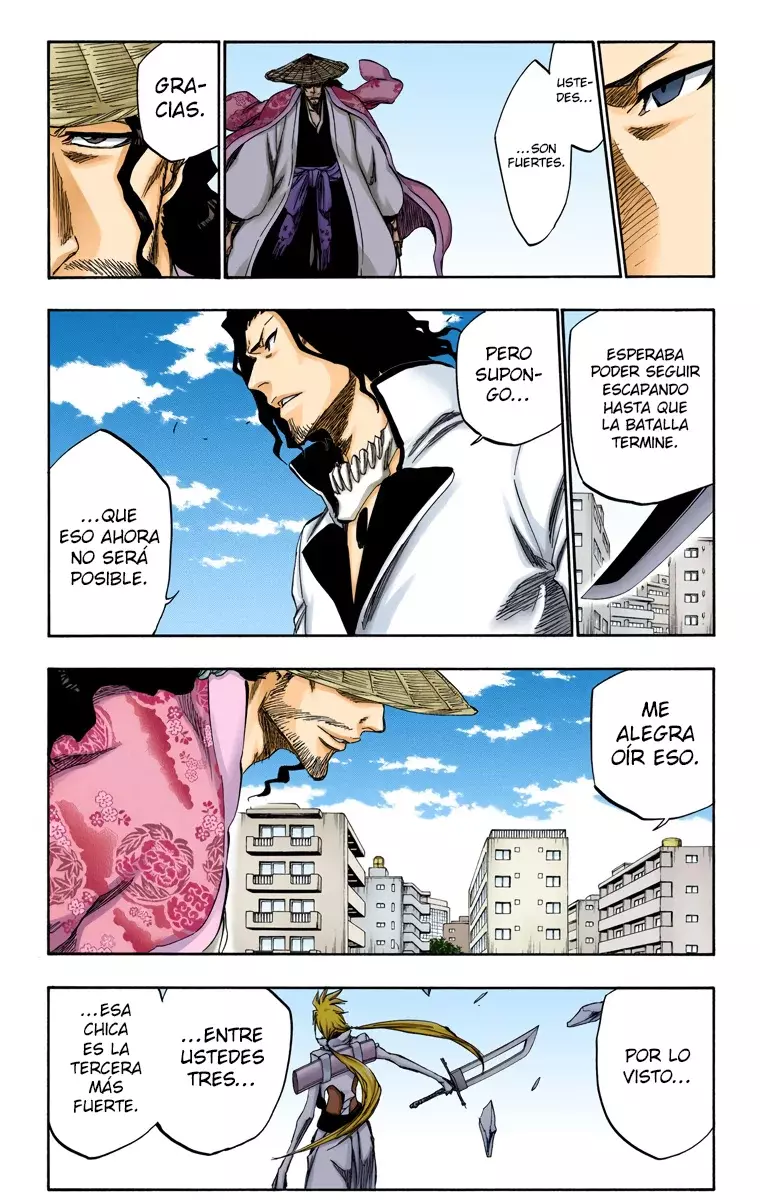 Bleach (Color) capítulo 339, página 14