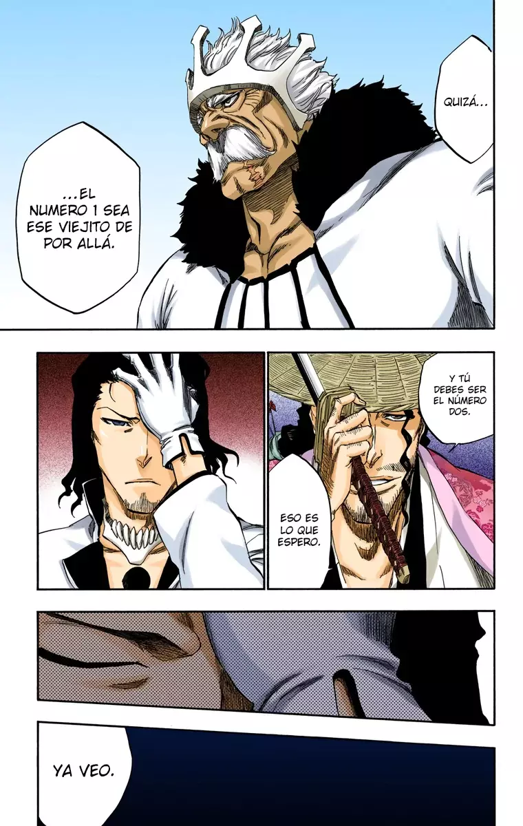 Bleach (Color) capítulo 339, página 15