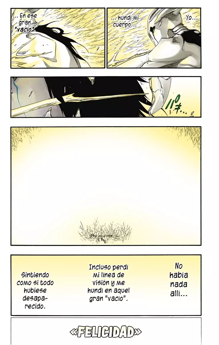 Bleach (Color) capítulo 340.1, página 11