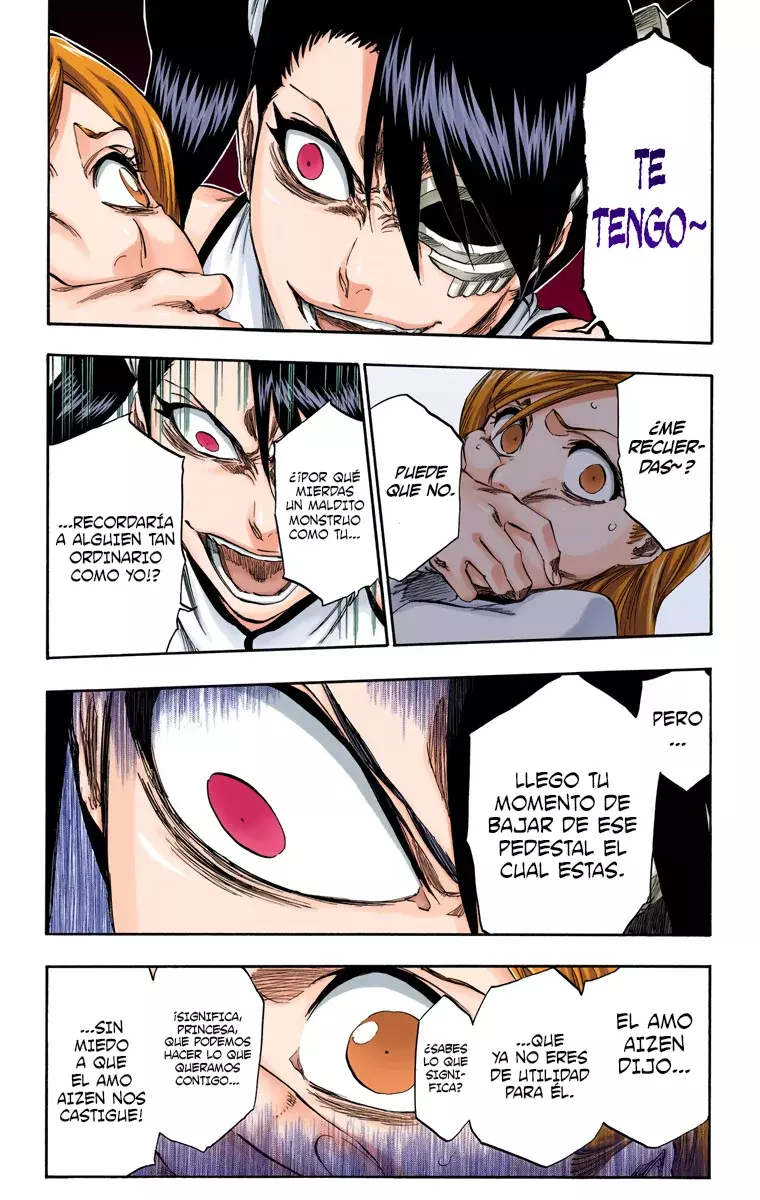 Bleach (Color) capítulo 342, página 14