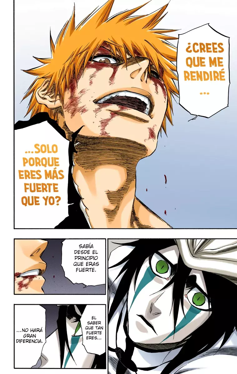 Bleach (Color) capítulo 347, página 17