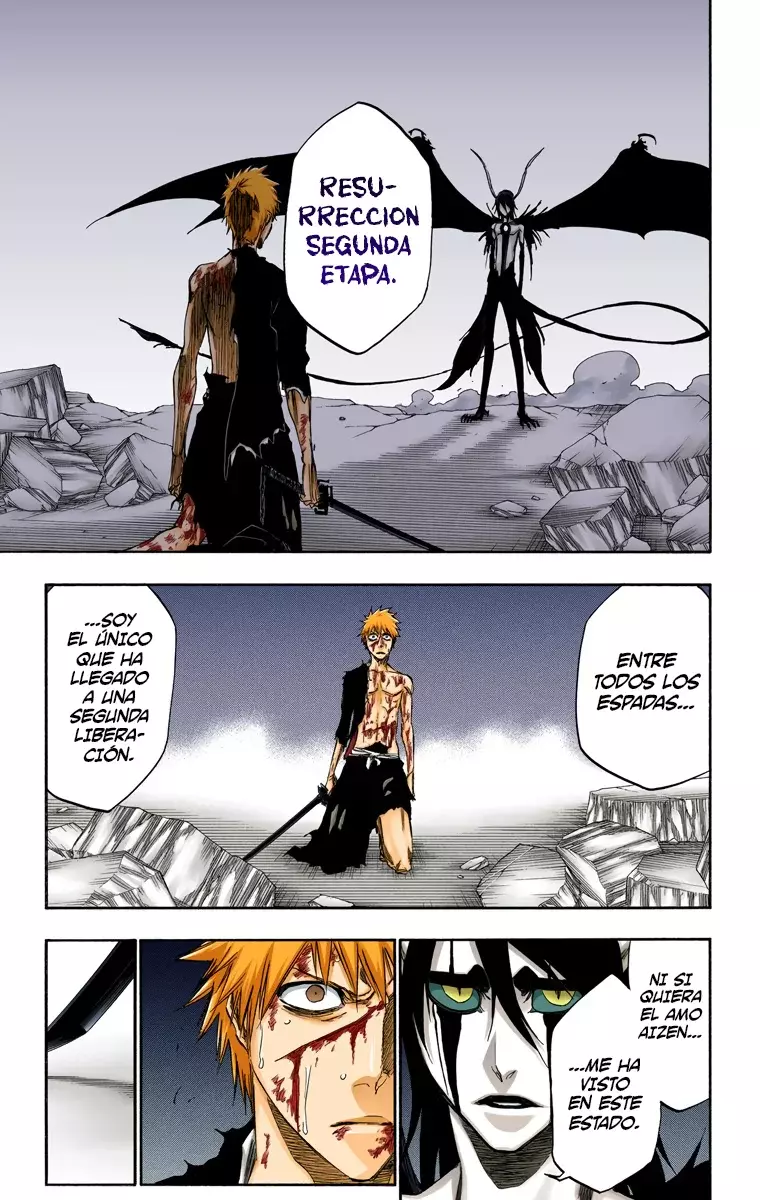Bleach (Color) capítulo 348, página 7