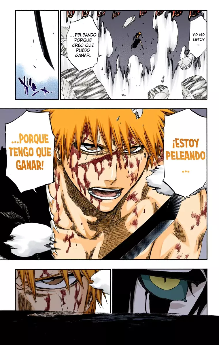 Bleach (Color) capítulo 348, página 15
