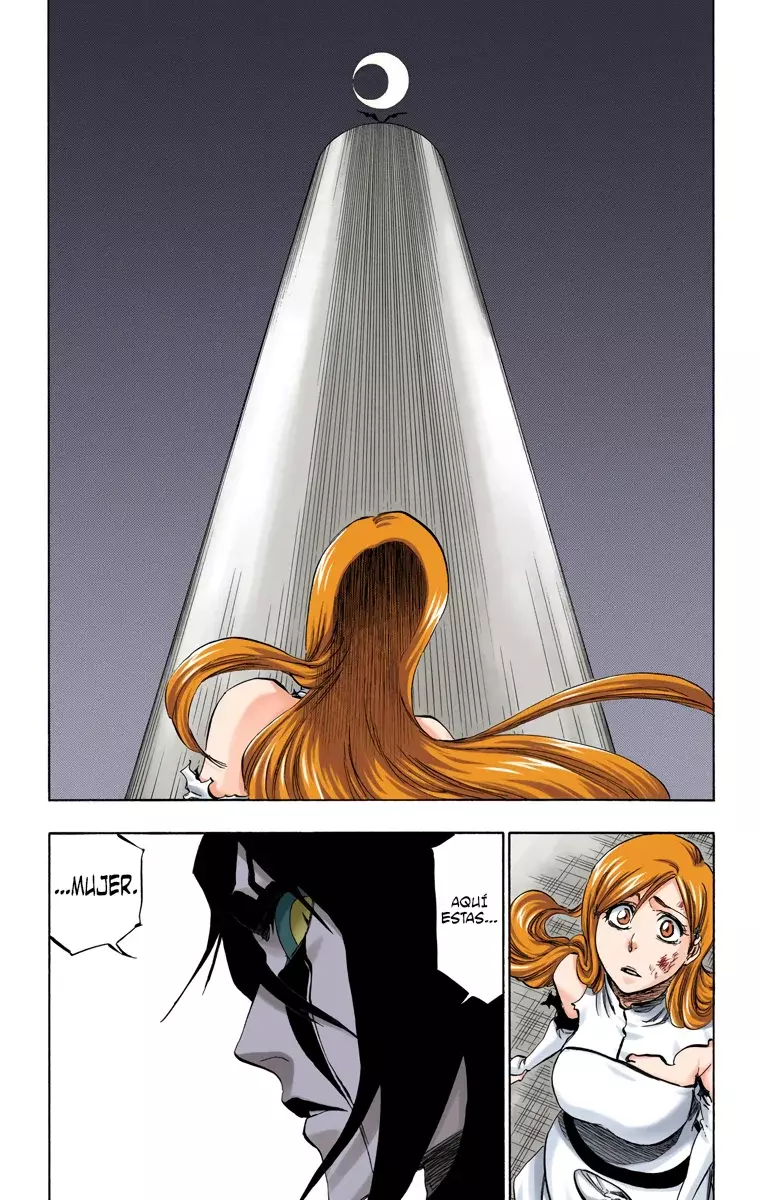 Bleach (Color) capítulo 348, página 17